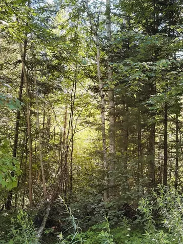 0 Parker Road Whitefield NH 03598