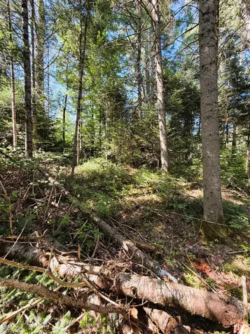 0 Parker Road Whitefield NH 03598