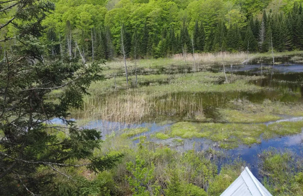 805 Cobblestone Trail Coventry VT 05825