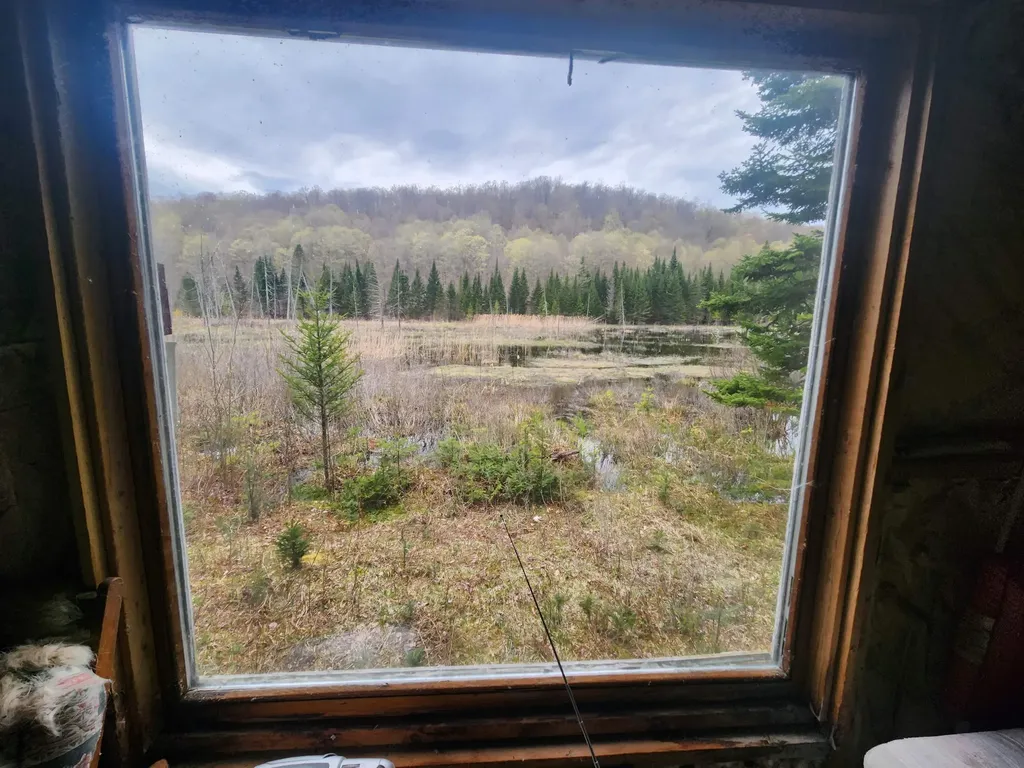 805 Cobblestone Trail Coventry VT 05825