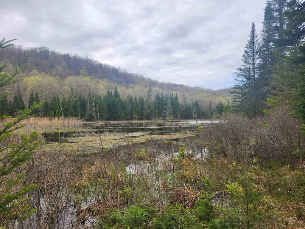 805 Cobblestone Trail Coventry VT 05825
