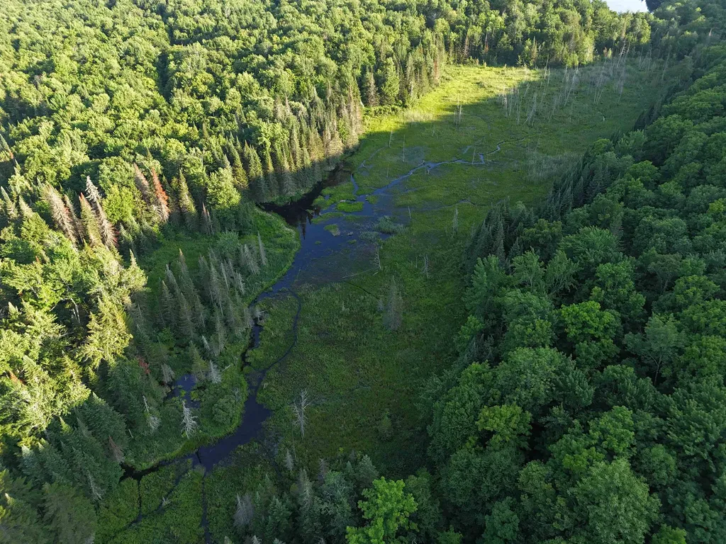 805 Cobblestone Trail Coventry VT 05825