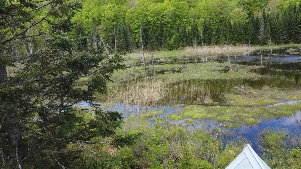 805 Cobblestone Trail Coventry VT 05825