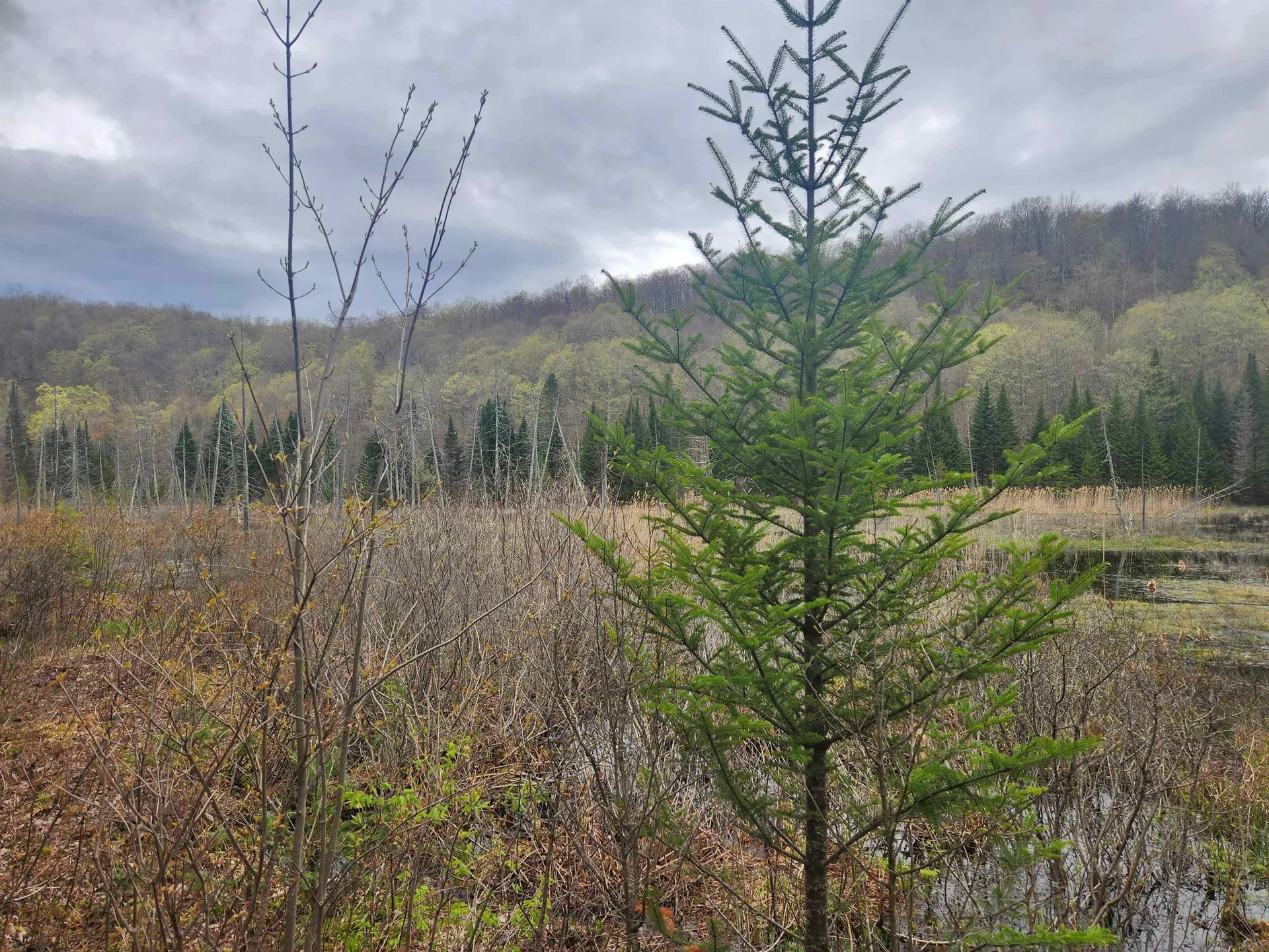 805 Cobblestone Trail Coventry VT 05825