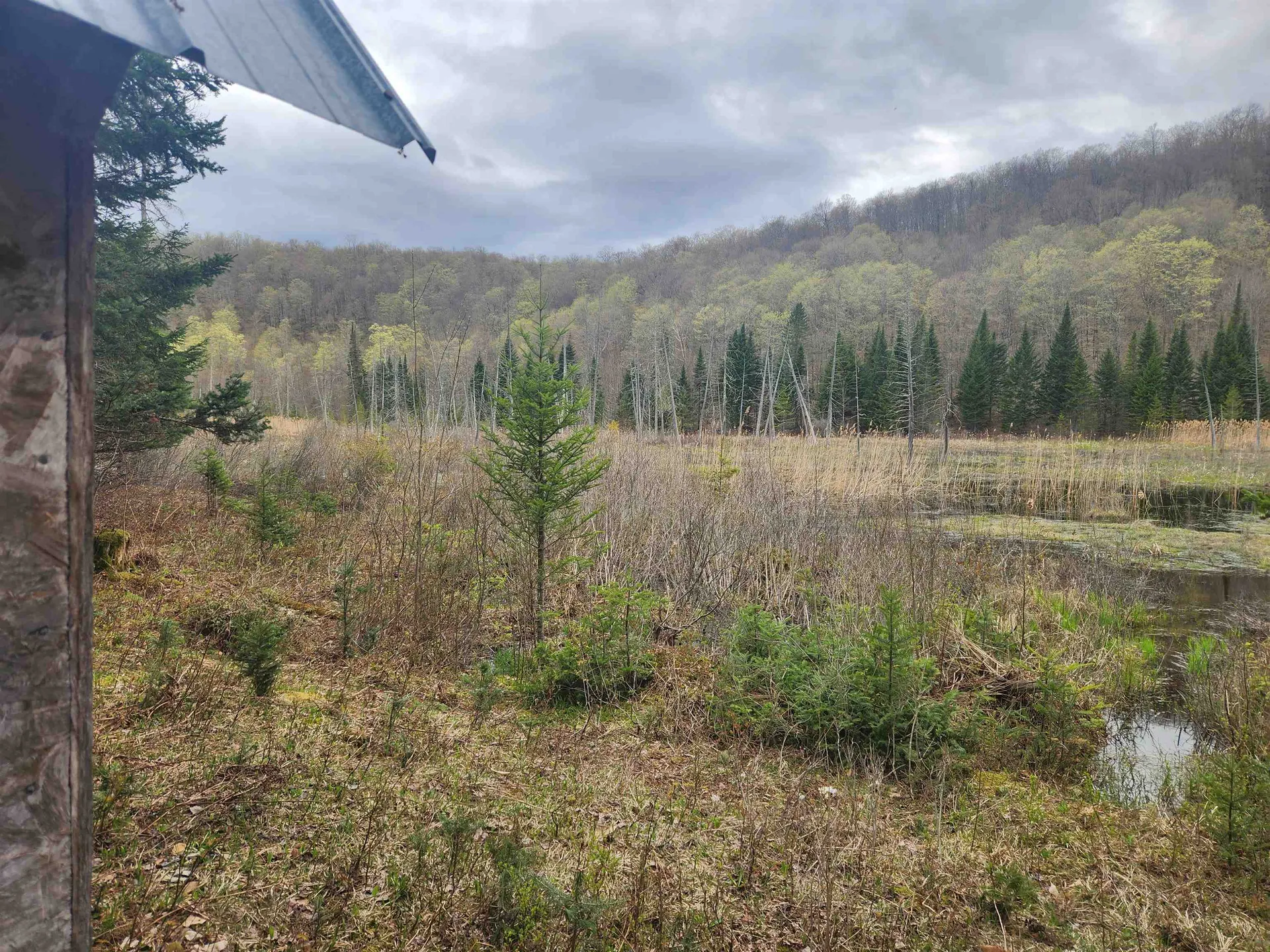 805 Cobblestone Trail Coventry VT 05825