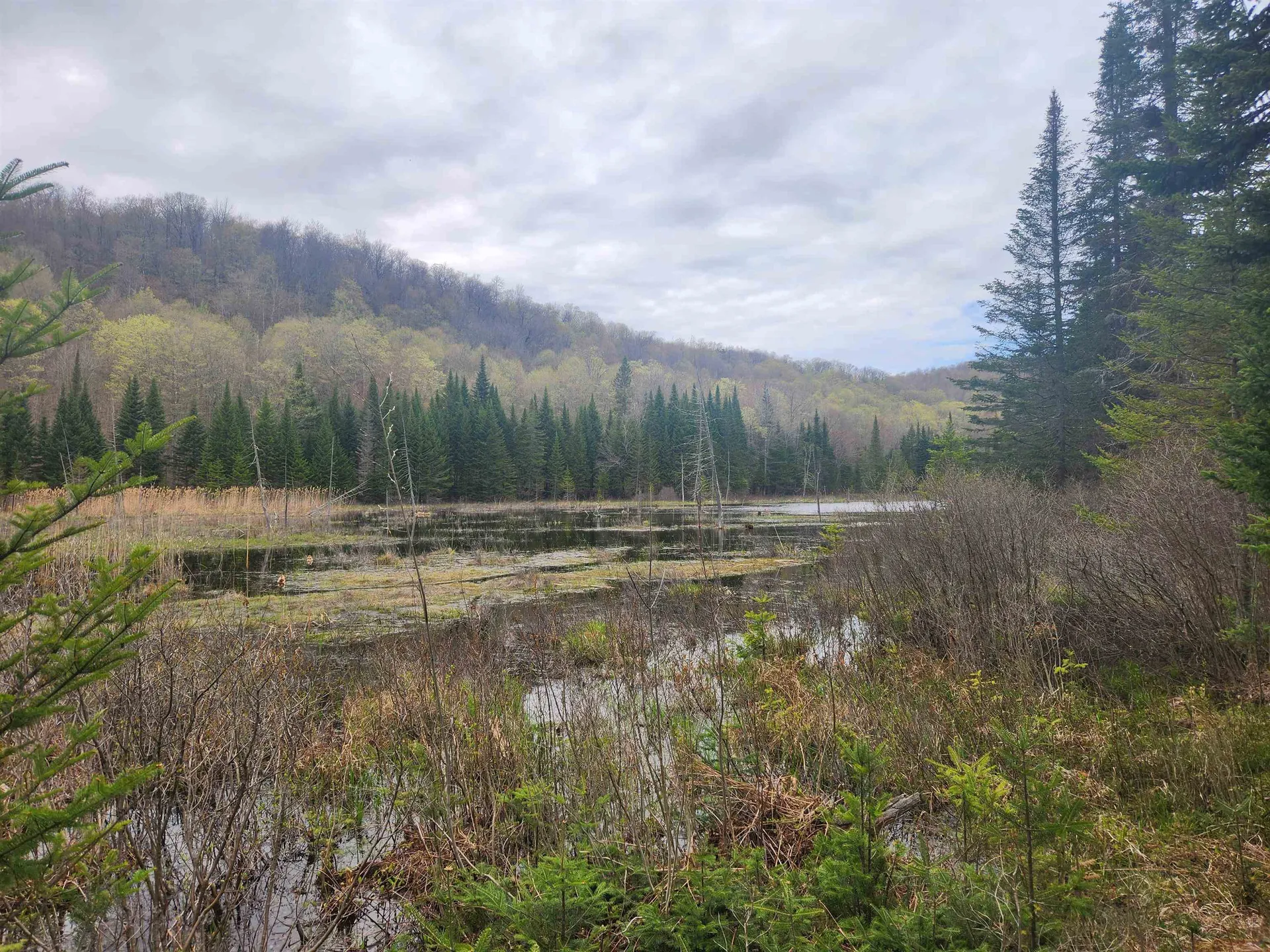 805 Cobblestone Trail Coventry VT 05825