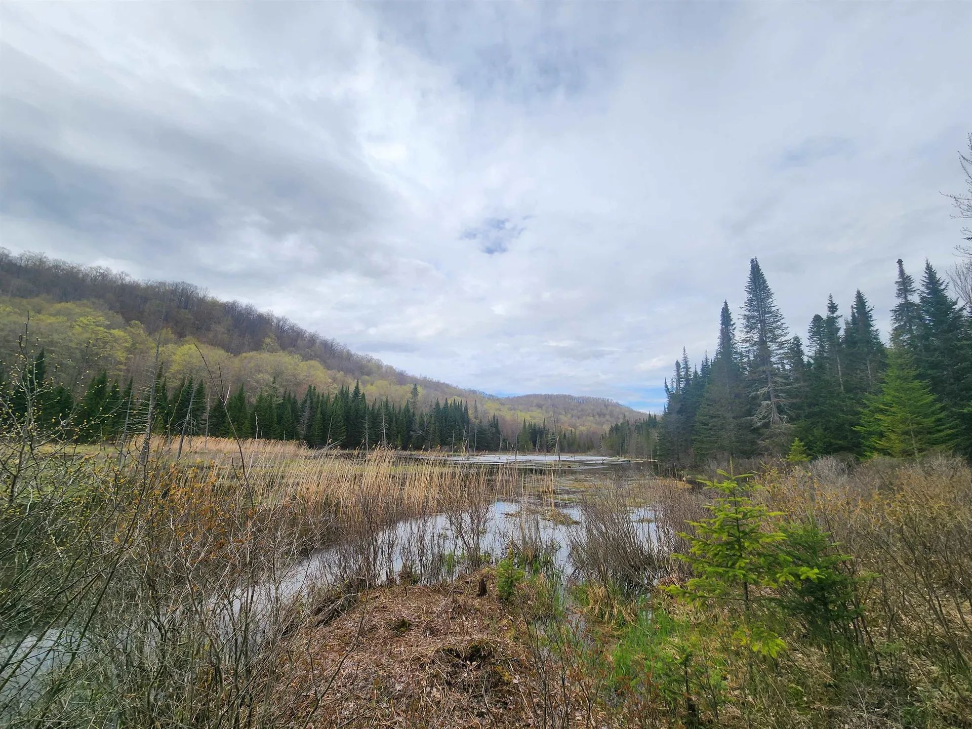 805 Cobblestone Trail Coventry VT 05825