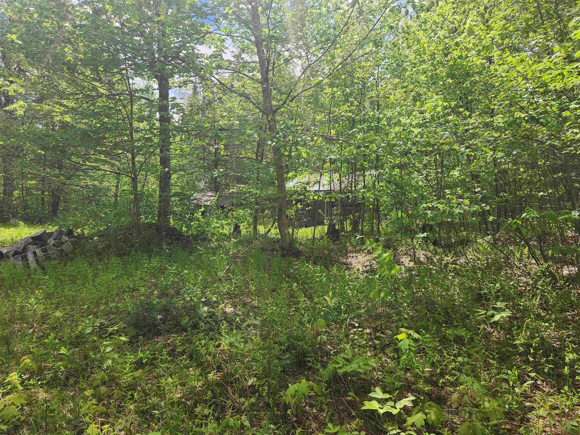 805 Cobblestone Trail Coventry VT 05825