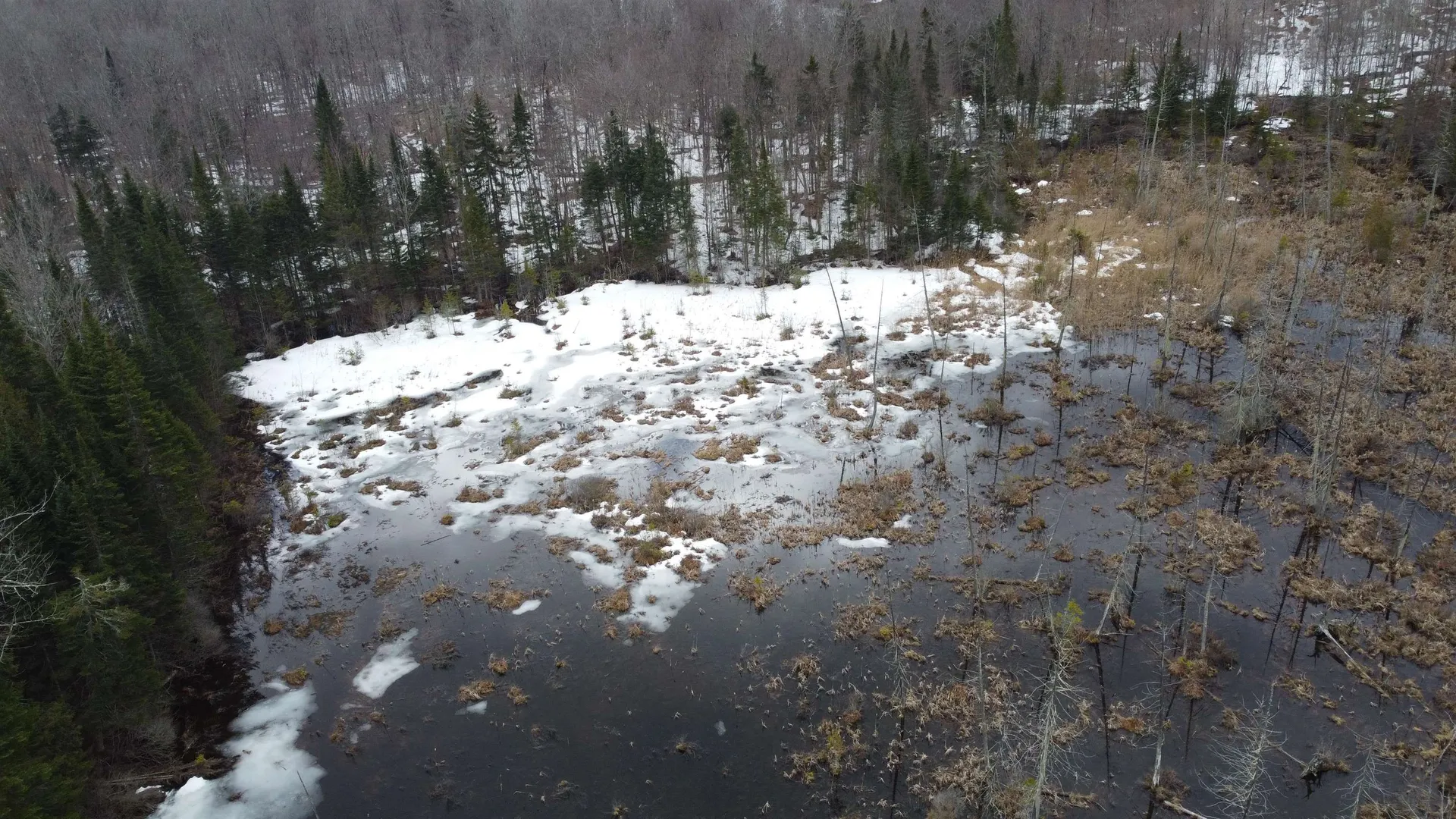 805 Cobblestone Trail Coventry VT 05825