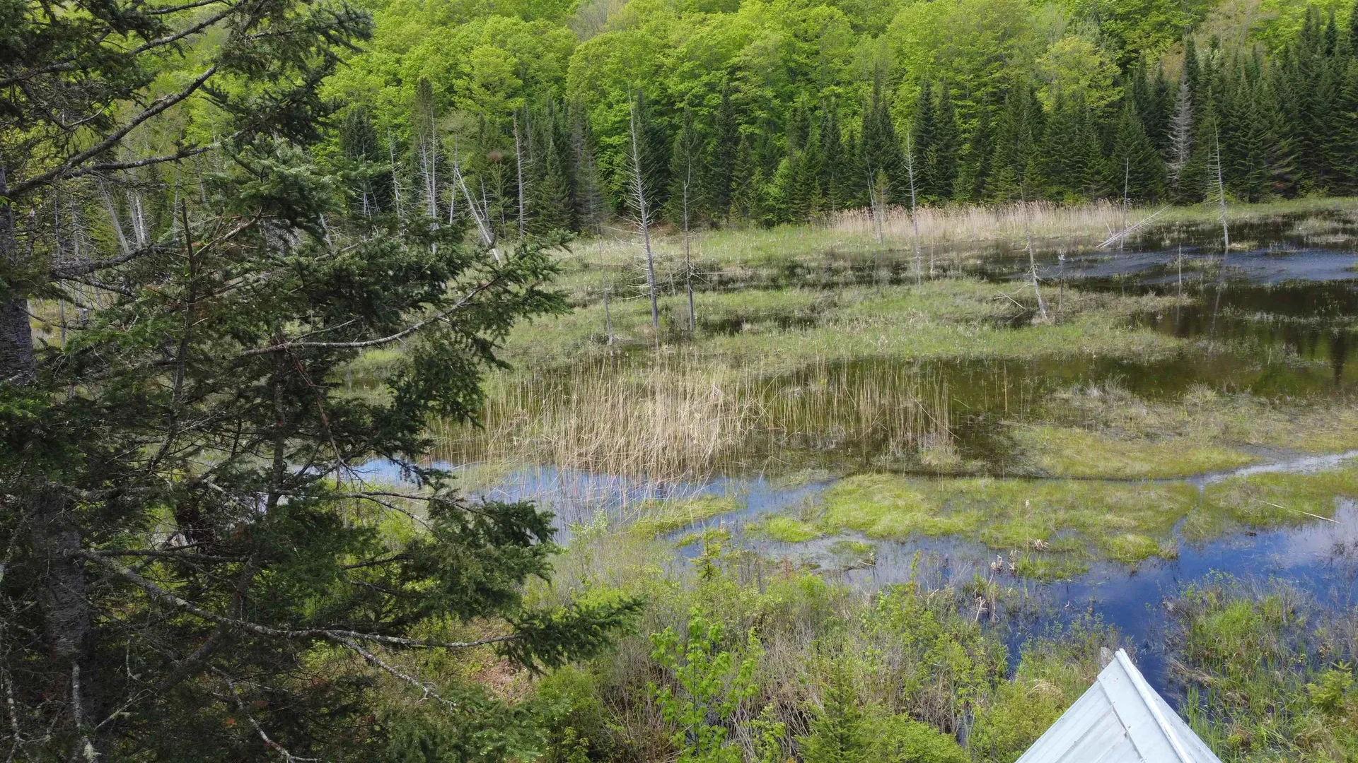 805 Cobblestone Trail Coventry VT 05825