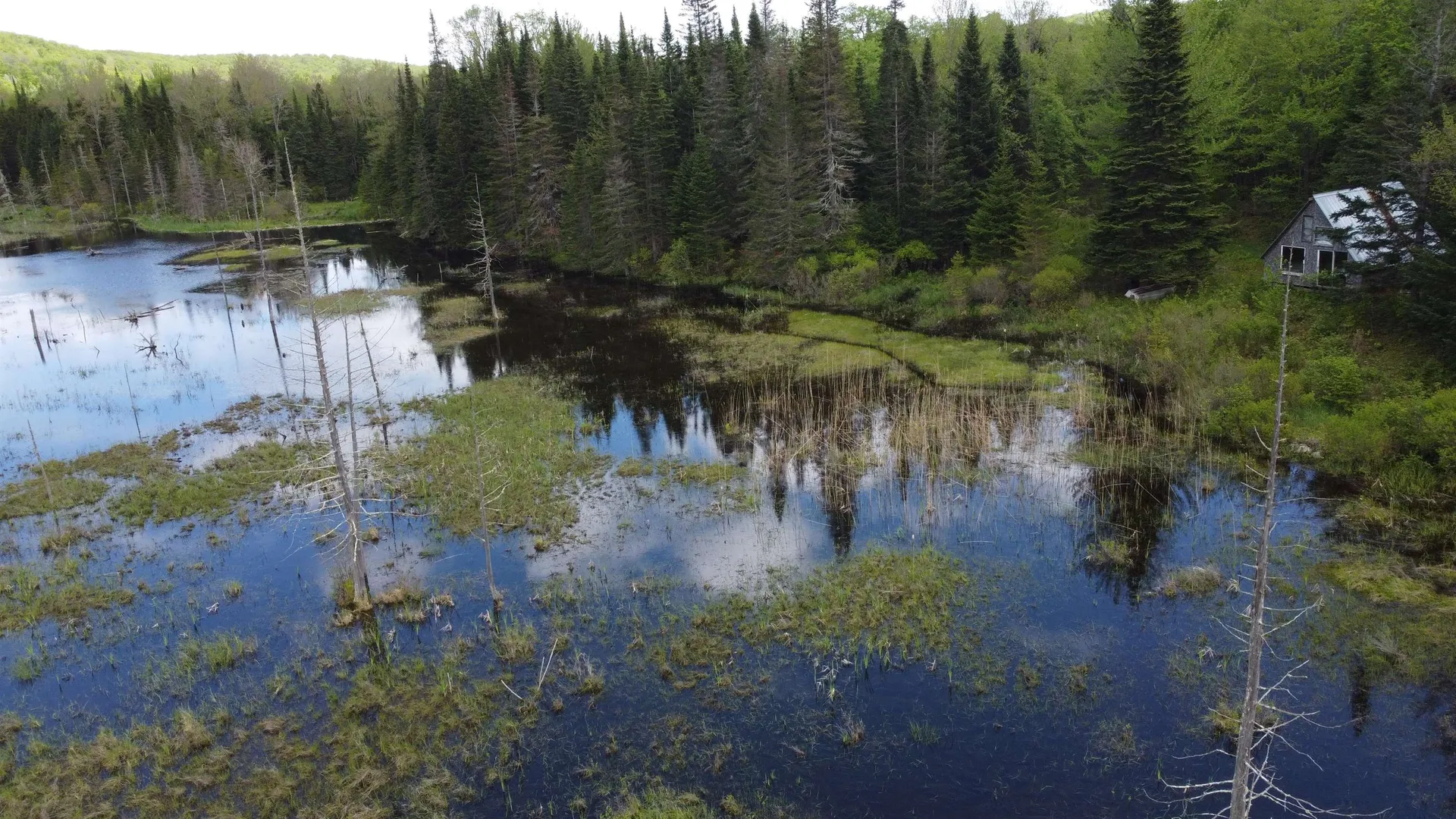 805 Cobblestone Trail Coventry VT 05825