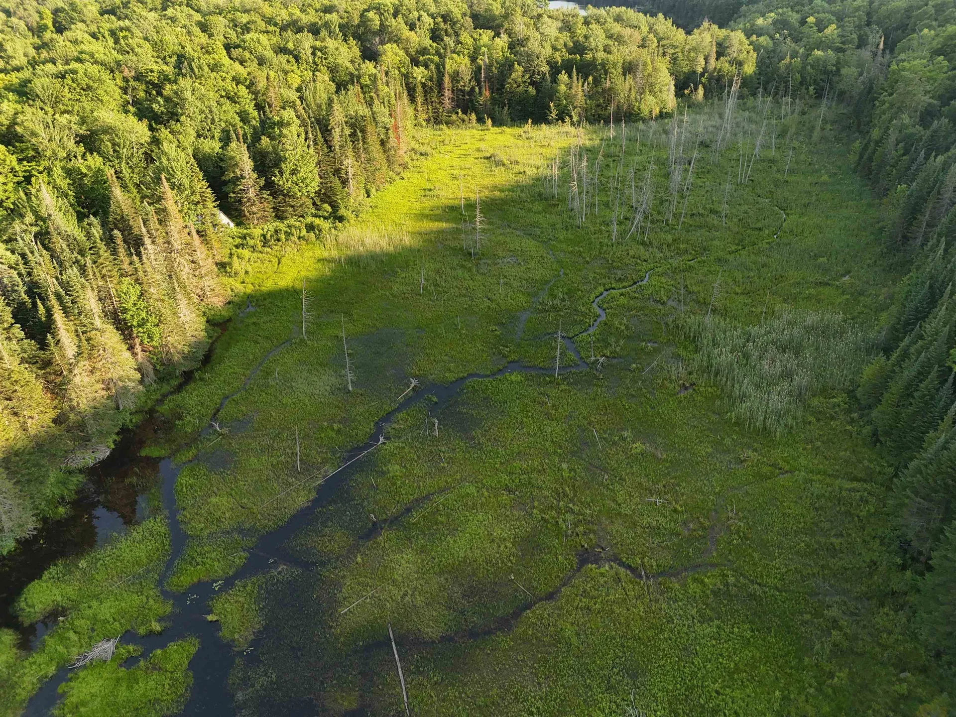 805 Cobblestone Trail Coventry VT 05825
