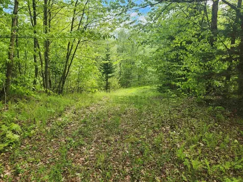 805 Cobblestone Trail Coventry VT 05825