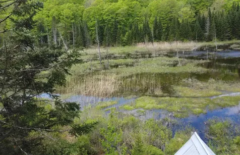 805 Cobblestone Trail Coventry VT 05825