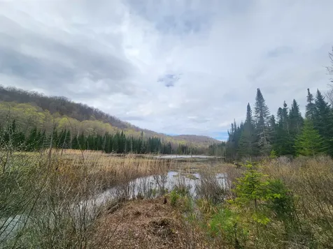 805 Cobblestone Trail Coventry VT 05825