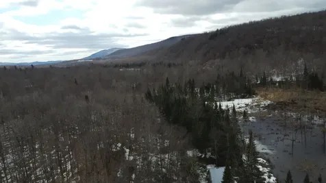 805 Cobblestone Trail Coventry VT 05825