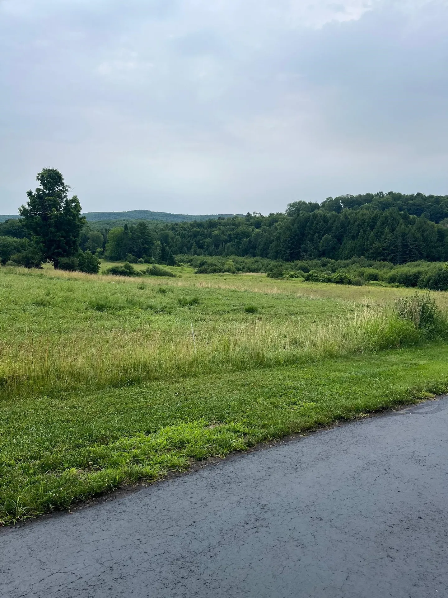 144 North Hyde Park Rd Road Hyde Park VT 05655