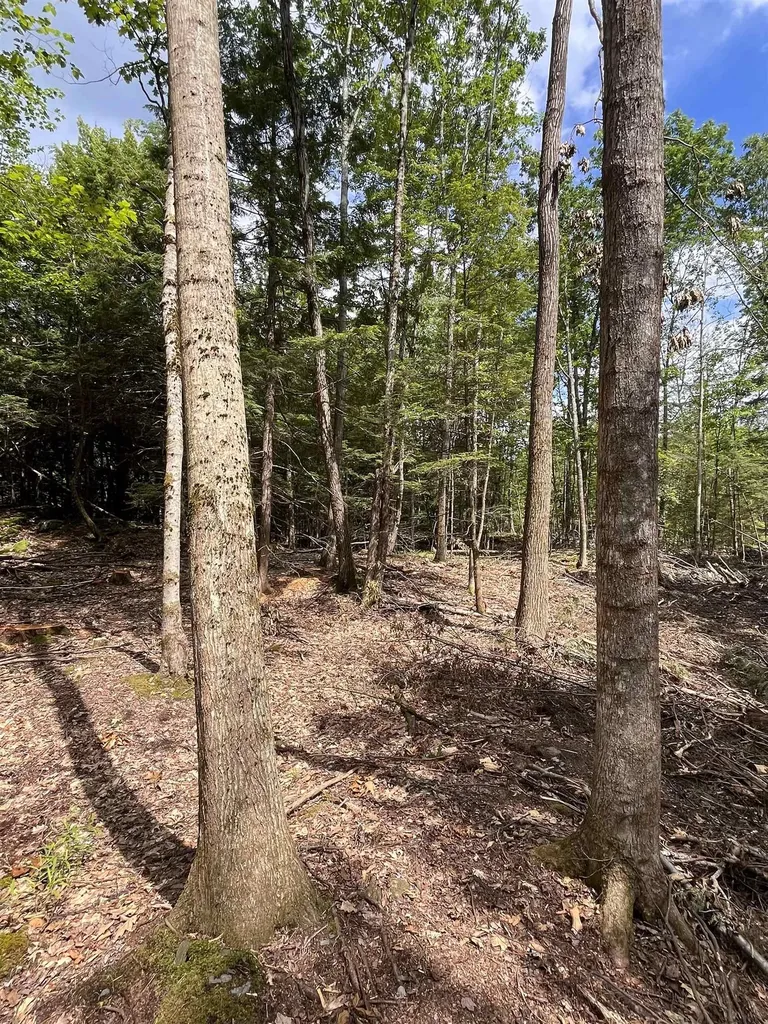 Columbus Jordan Road Plainfield NH 03781