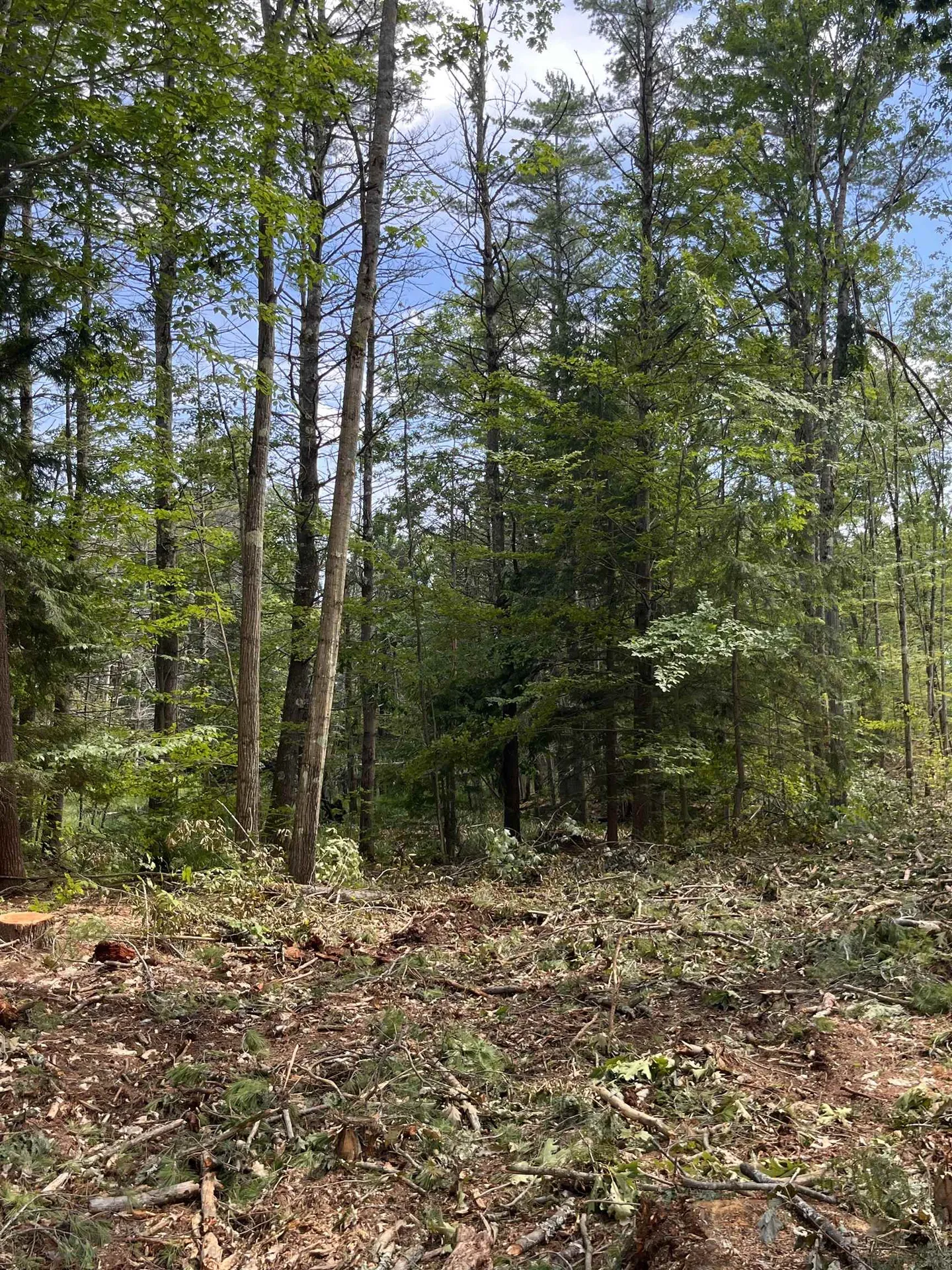 Columbus Jordan Road Plainfield NH 03781
