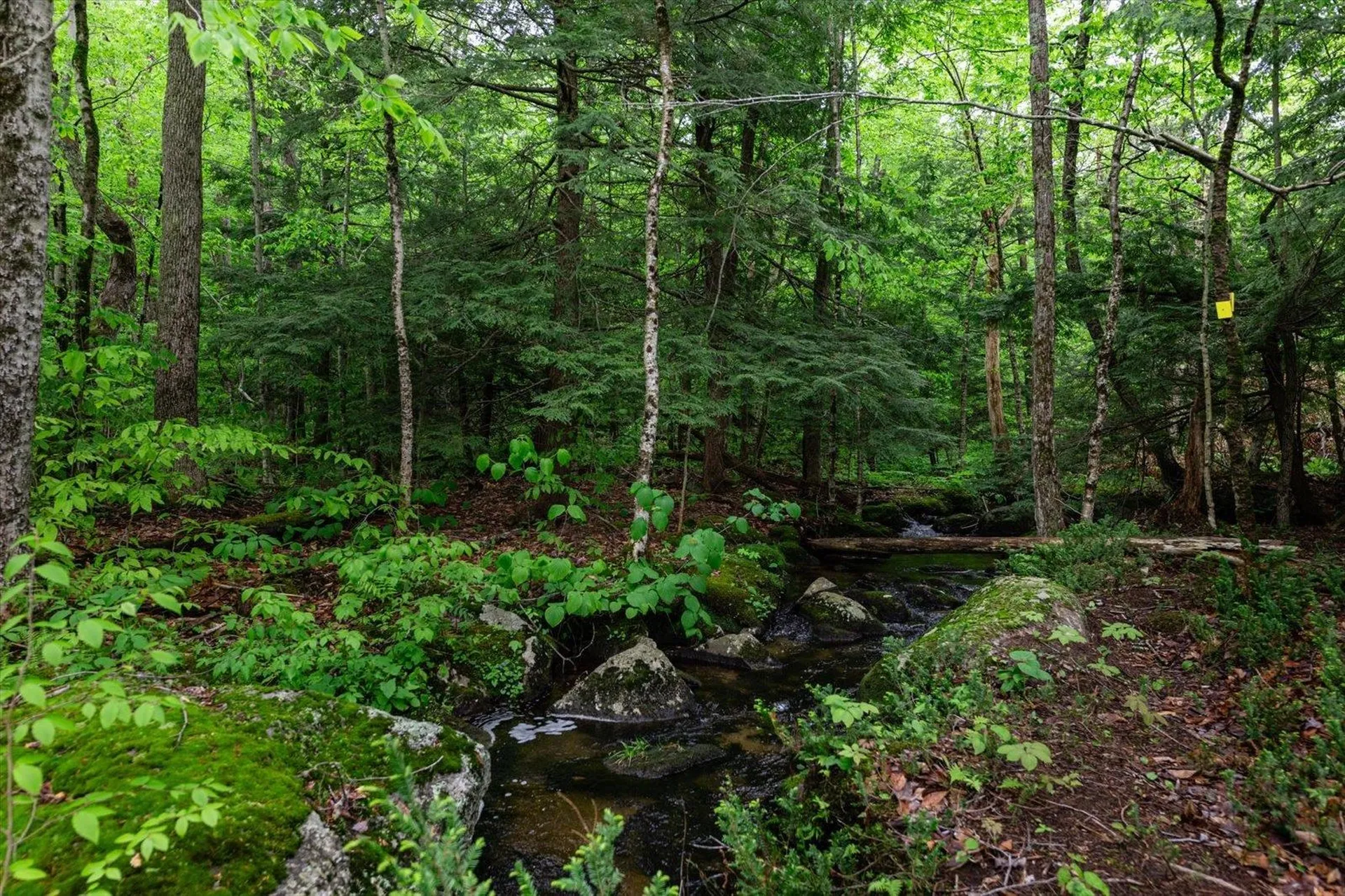 138 Miller Drive Nelson NH 03457