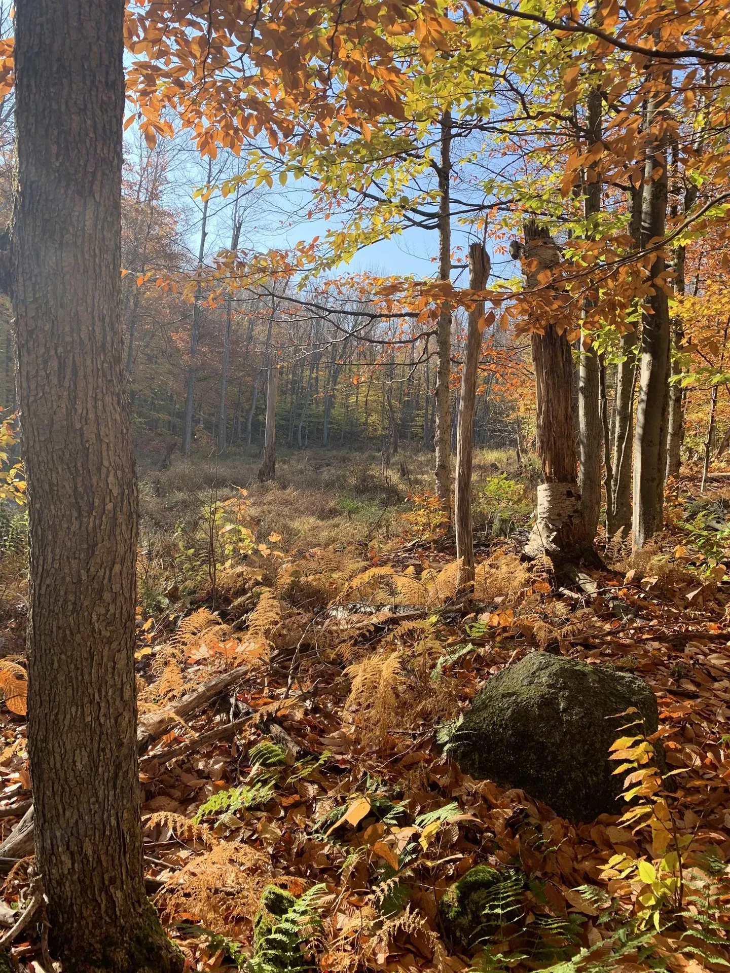 138 Miller Drive Nelson NH 03457
