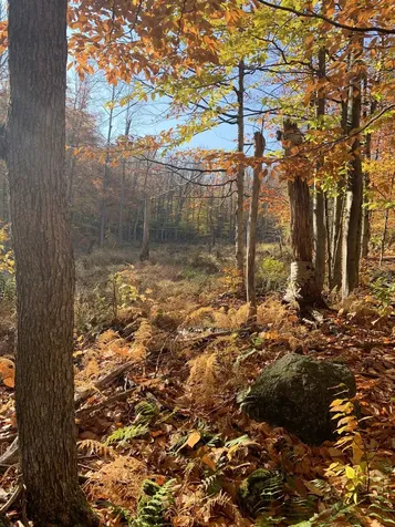 138 Miller Drive Nelson NH 03457