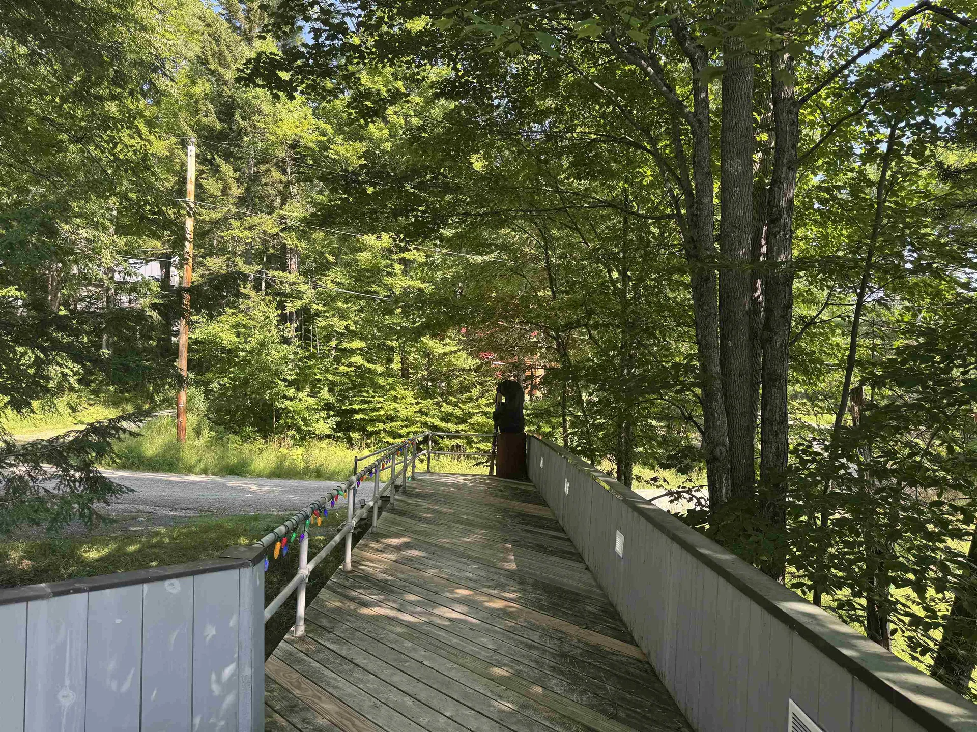 106 Upper Loop Ludlow VT 05149