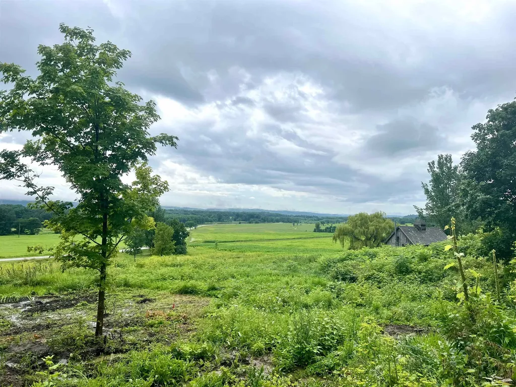 Lot 2 Snake Mountain Road Weybridge VT 05753