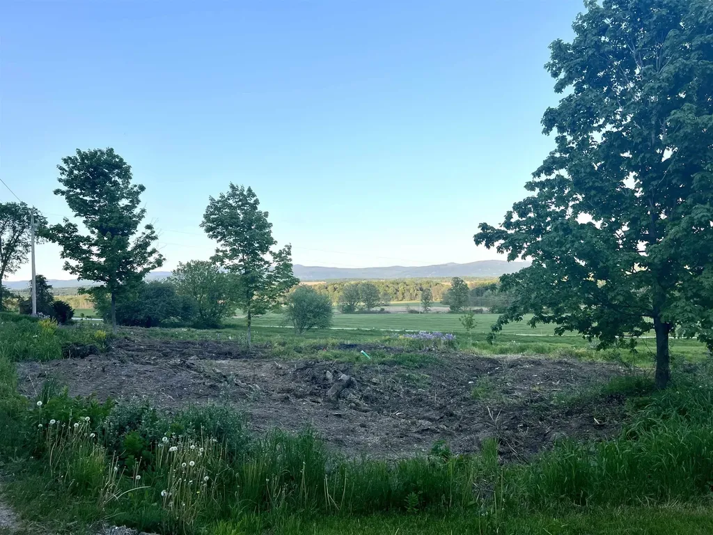 Lot 2 Snake Mountain Road Weybridge VT 05753