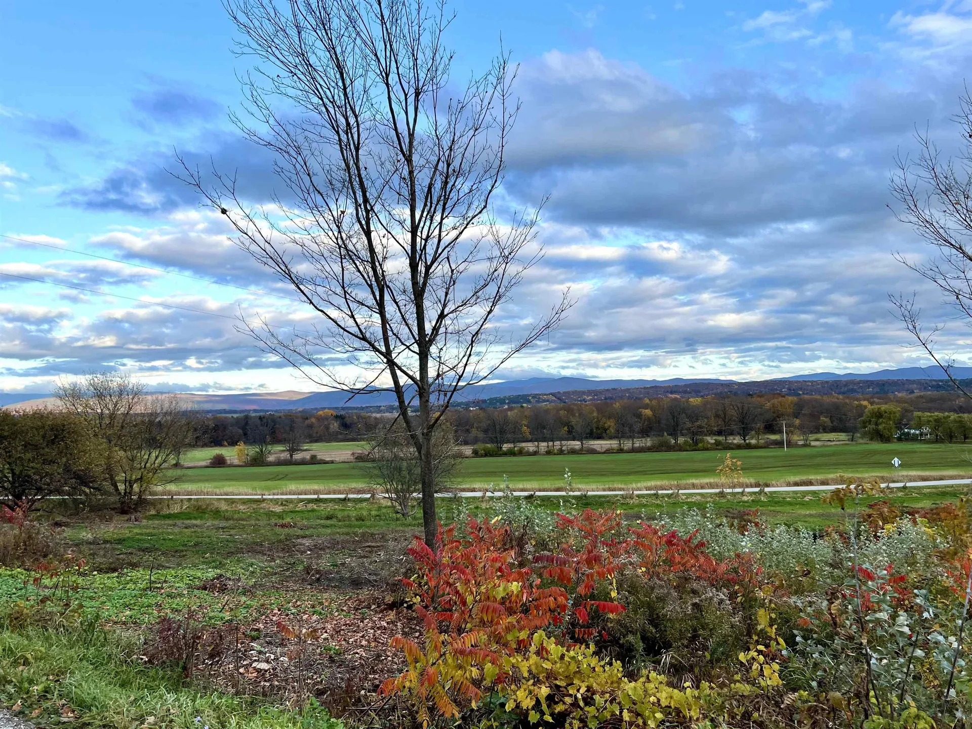 Lot 2 Snake Mountain Road Weybridge VT 05753