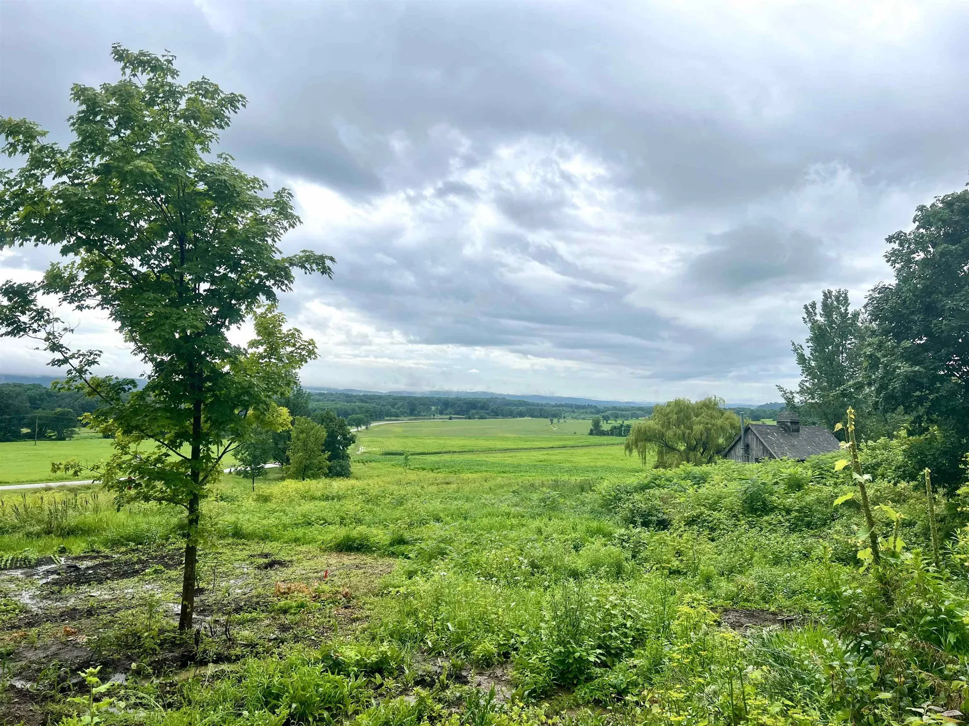 Lot 2 Snake Mountain Road Weybridge VT 05753