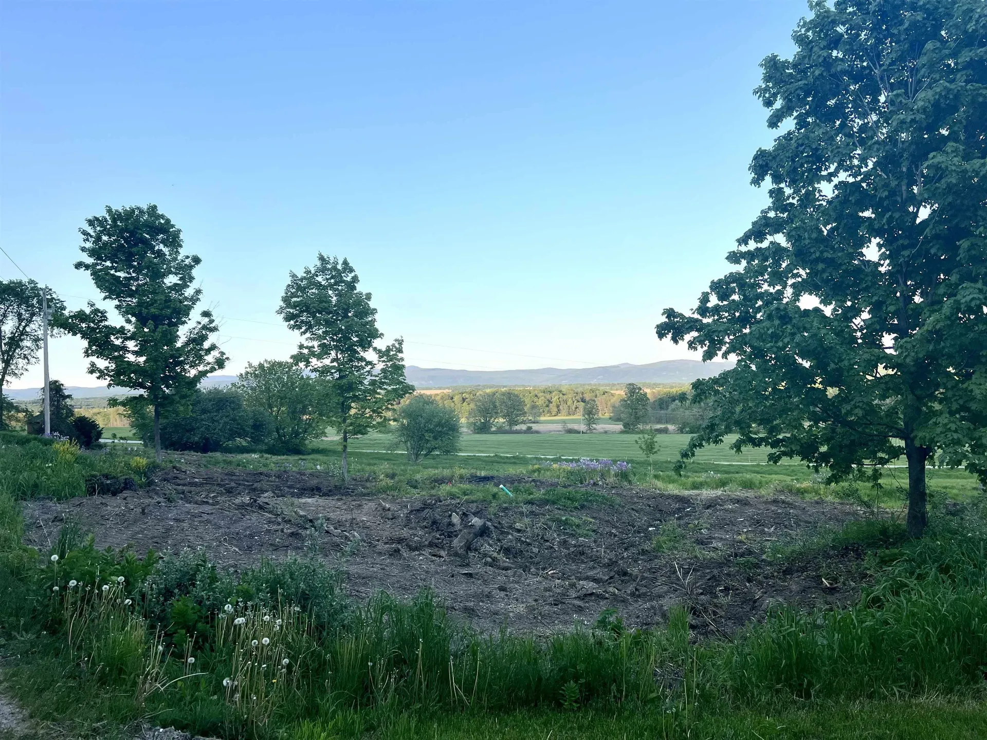 Lot 2 Snake Mountain Road Weybridge VT 05753