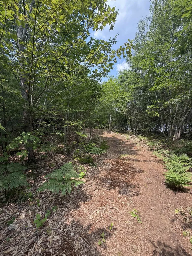 Map 206 Lot 28 Whittier Road Tamworth NH 03890