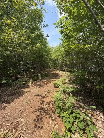 Map 206 Lot 28 Whittier Road Tamworth NH 03890