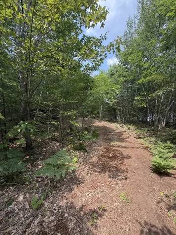 Map 206 Lot 28 Whittier Road Tamworth NH 03890