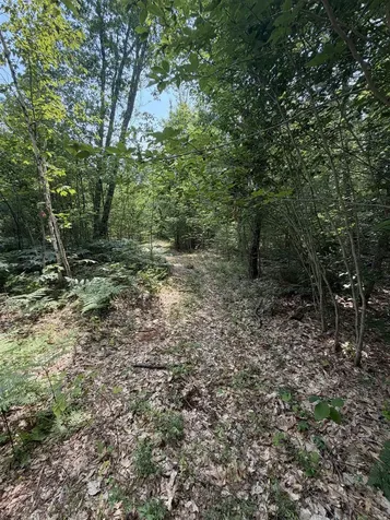 Map 206 Lot 28 Whittier Road Tamworth NH 03890