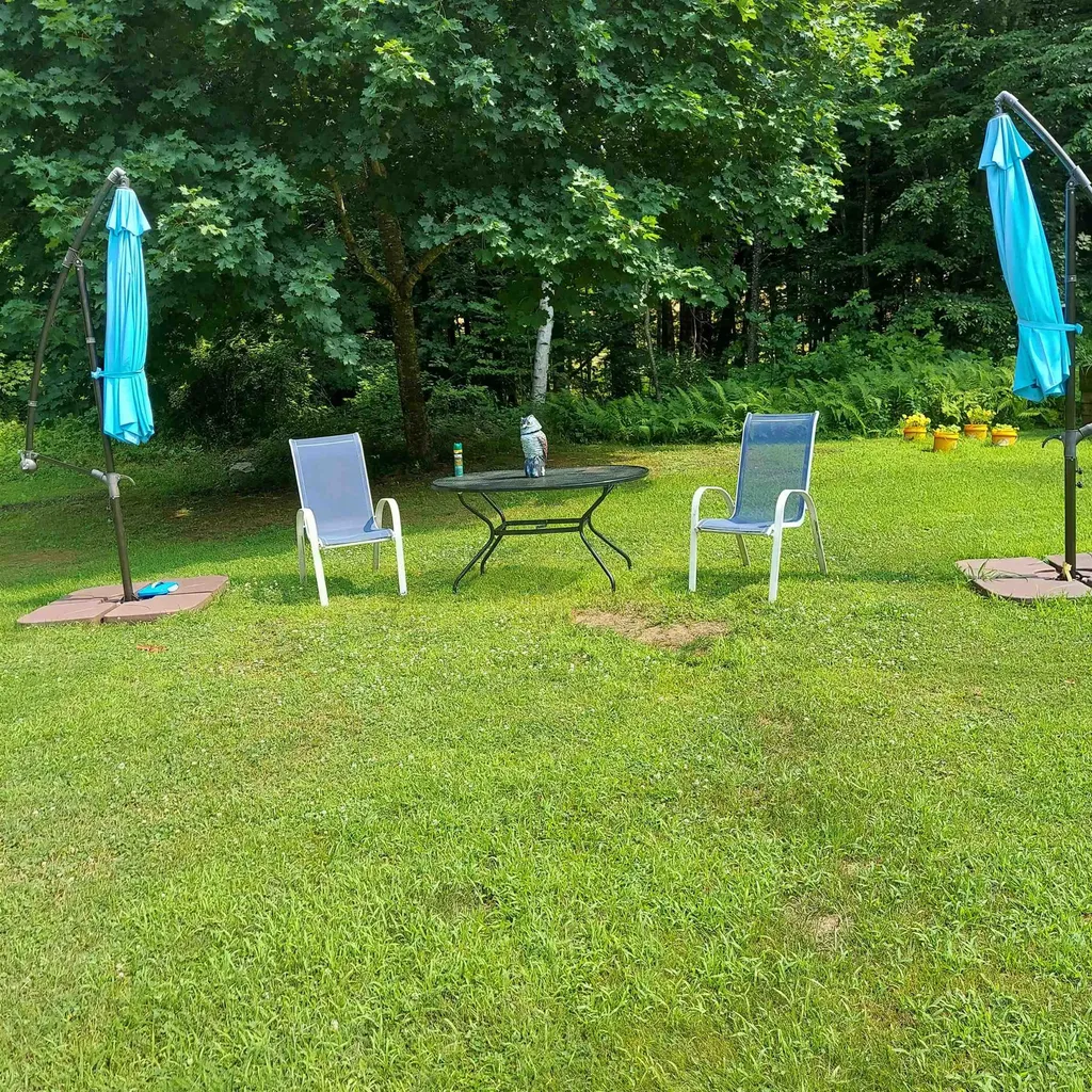 18 Tripp Lane Alstead NH 03602