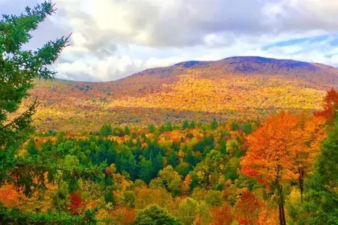 1277 Notchbrook Road Stowe VT 05672