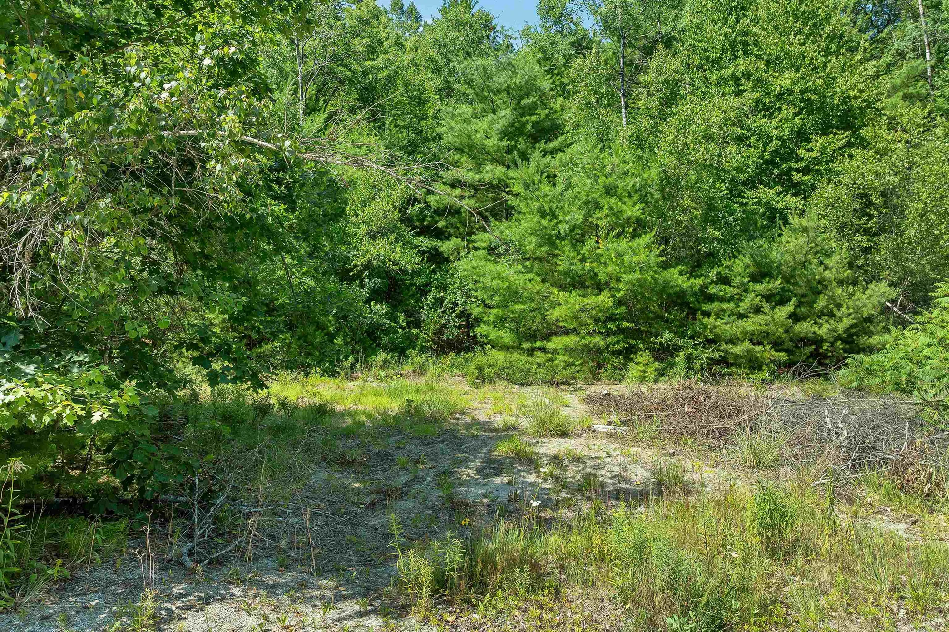 66 Hartshorn Lane Warner NH 03278
