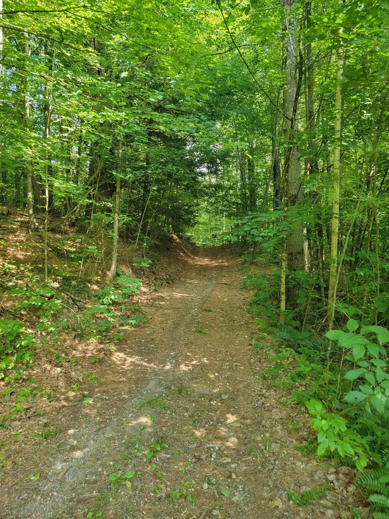 18 Hidden Valley Road Shaftsbury VT 05262