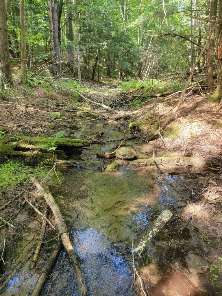 18 Hidden Valley Road Shaftsbury VT 05262