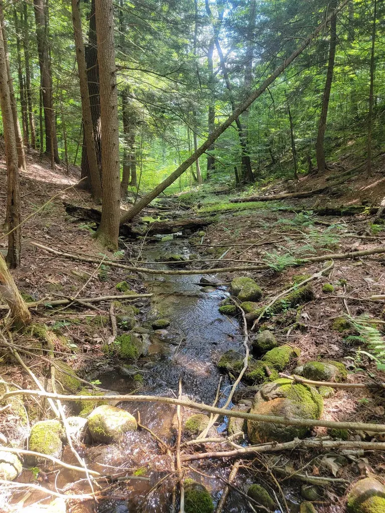 18 Hidden Valley Road Shaftsbury VT 05262