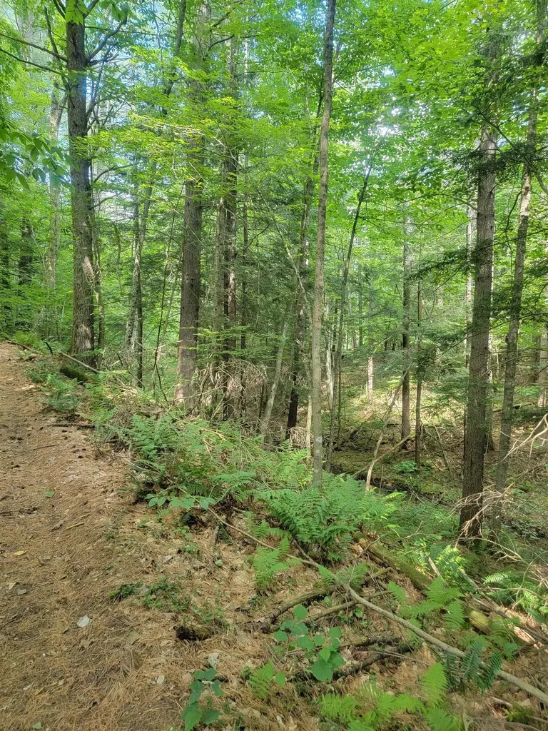 18 Hidden Valley Road Shaftsbury VT 05262
