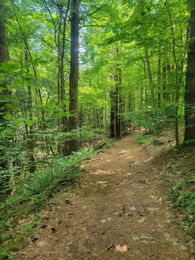 18 Hidden Valley Road Shaftsbury VT 05262