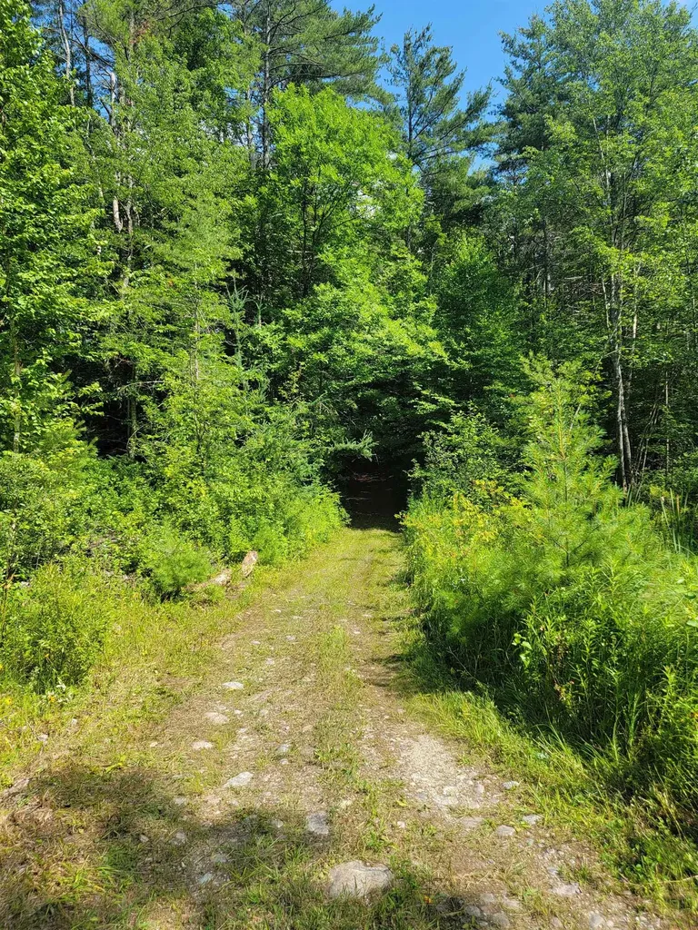 18 Hidden Valley Road Shaftsbury VT 05262