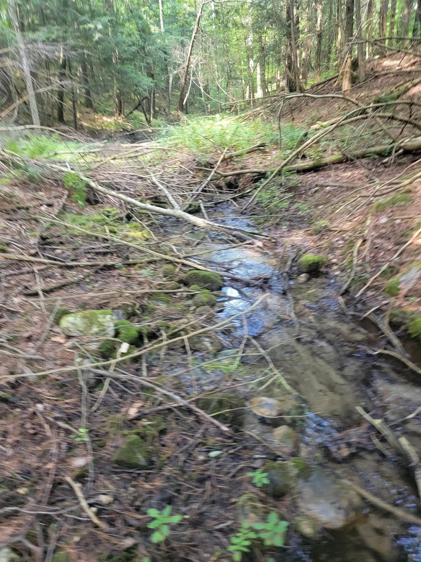 18 Hidden Valley Road Shaftsbury VT 05262
