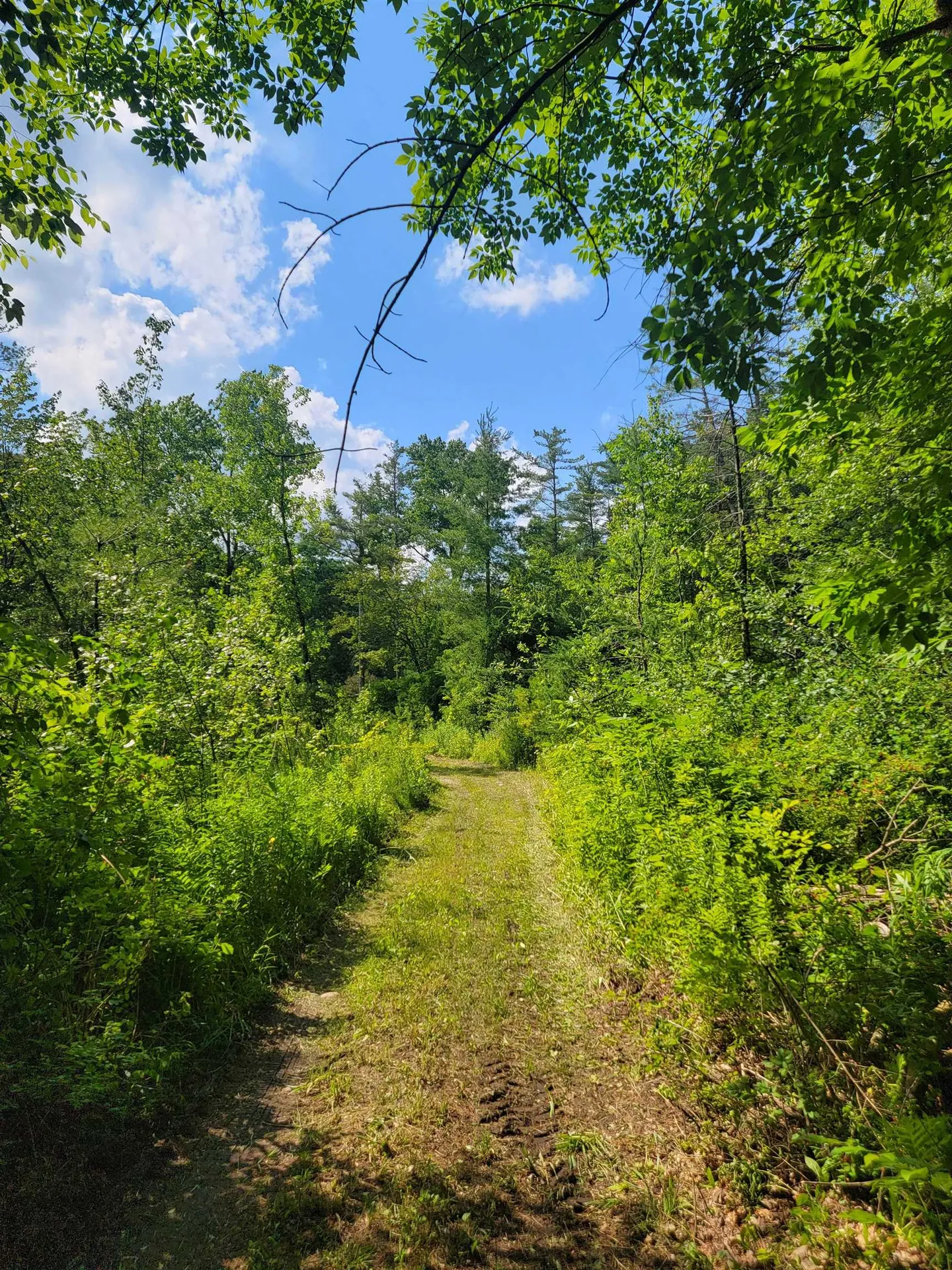 18 Hidden Valley Road Shaftsbury VT 05262