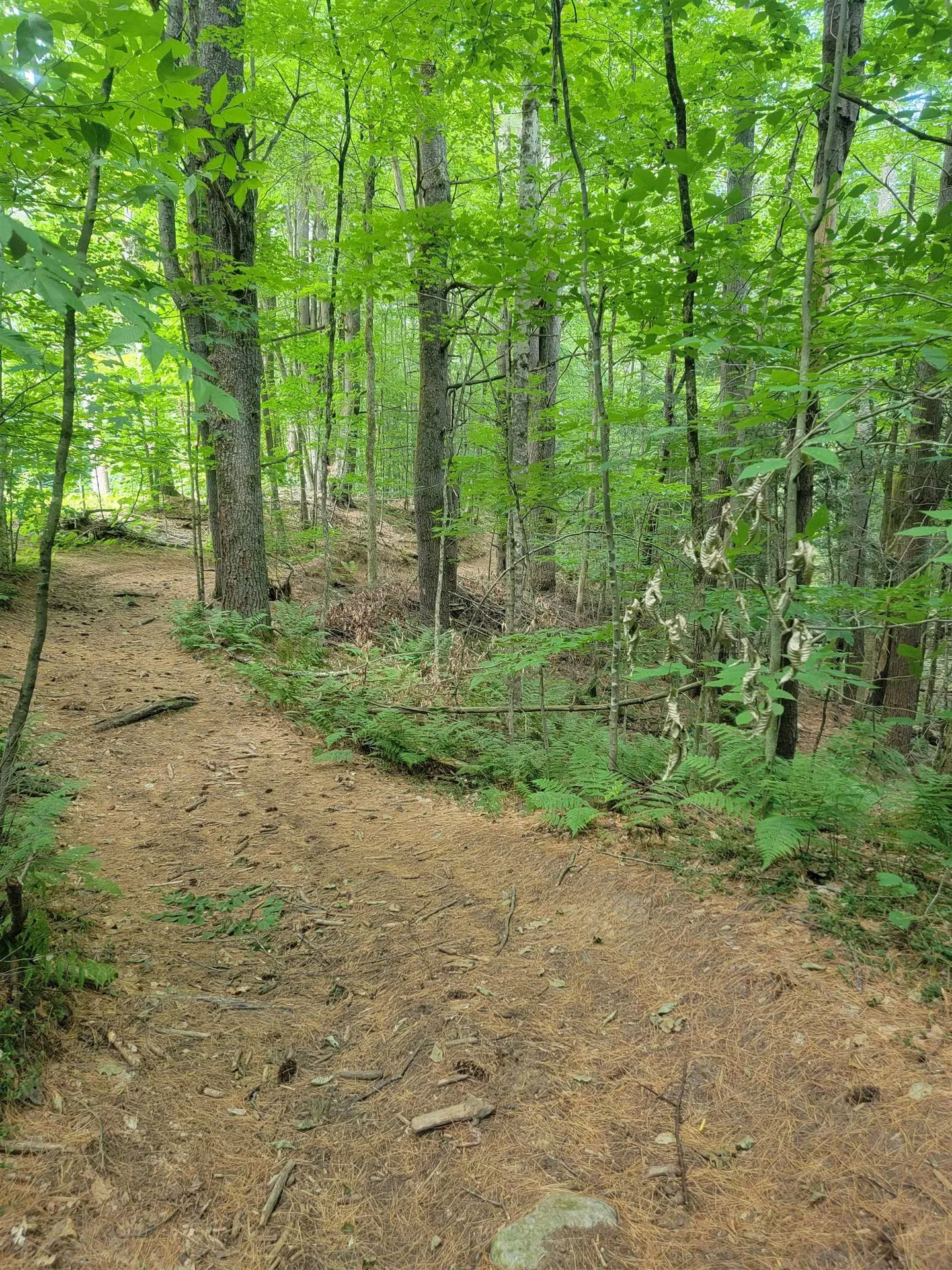 18 Hidden Valley Road Shaftsbury VT 05262