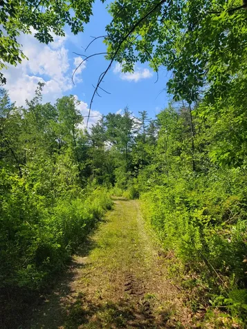 18 Hidden Valley Road Shaftsbury VT 05262
