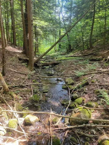 18 Hidden Valley Road Shaftsbury VT 05262